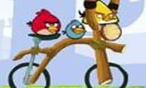 Bike dos Angry Birds